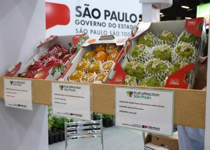 Foto-Agencia-de-Noticias-de-Sao-Paulo-Divulgacao-1